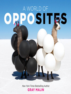 cover image of A World of Opposites